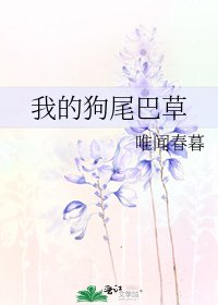 《我的狗尾巴草》