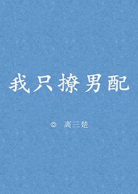 《我只撩男配》
