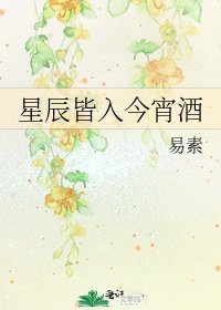 《星辰皆入今宵酒》