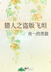 《猎人之盗版飞坦》