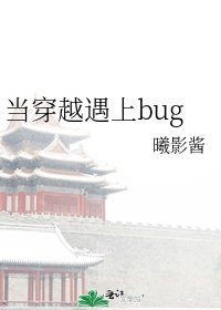 当穿越遇上bug