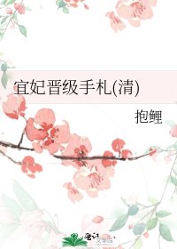 《宜妃晋级手札(清)》