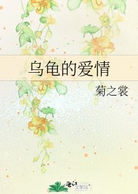 乌龟的爱情