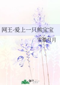 《网王-爱上一只熊宝宝》