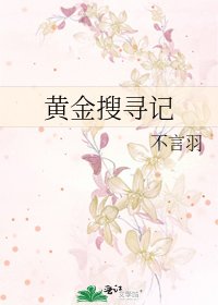 《黄金搜寻记》