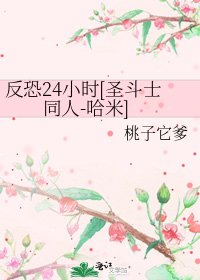 反恐24小时[圣斗士同人-哈米]