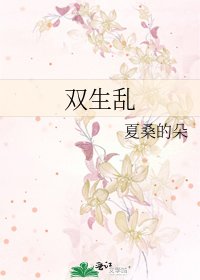《双生乱》
