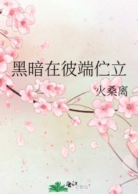 《黑暗在彼端伫立》