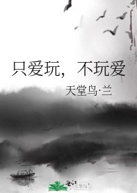 《只爱玩,不玩爱》