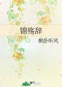 锦殇辞
