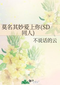 莫名其妙爱上你(SD同人)