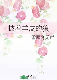 披着羊皮的狼