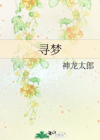 寻梦