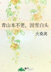 《青山本不老,因雪白头》