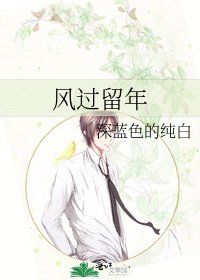 《风过留年》