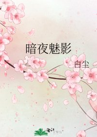 《暗夜魅影》