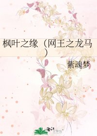 枫叶之缘（网王之龙马）