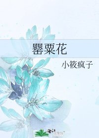 罂粟花