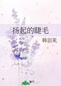 《扬起的睫毛》
