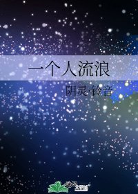 《一个人流浪》