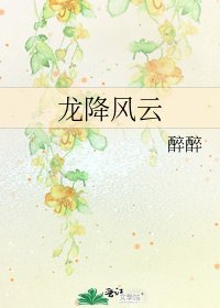 《龙降风云》