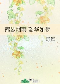 《锦瑟烟雨 韶华如梦》
