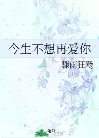 今生不想再爱你