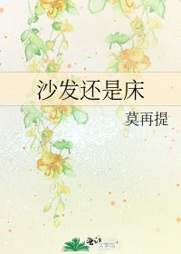 沙发还是床