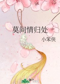 莫问情归处