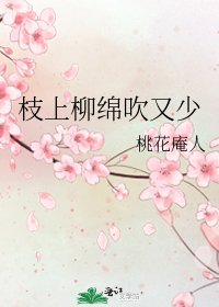 枝上柳绵吹又少