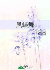 凤蝶舞