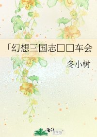 《「幻想三国志□□车会》