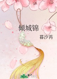 倾城锦