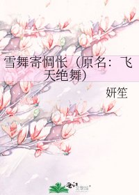 《雪舞寄惆怅(原名:飞天绝舞)》