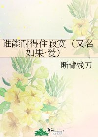 《谁能耐得住寂寞(又名如果·爱)》