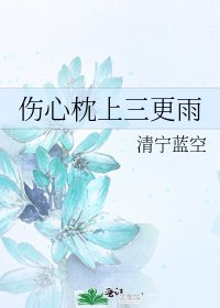 《伤心枕上三更雨》