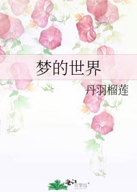 梦的世界