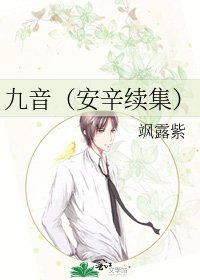 九音（安辛续集）