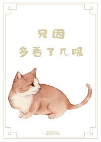 《只因多看了几眼》