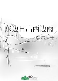 《东边日出西边雨》