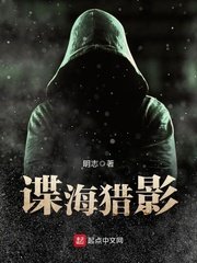 《谍海猎影》
