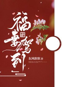 《福妻驾到》