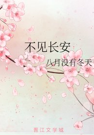 《不见长安》