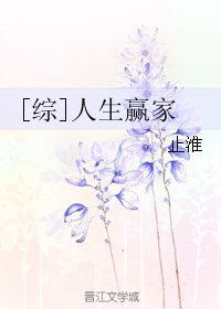 （综同人）[综]人生赢家