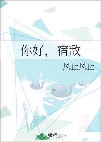 《你好,宿敌》