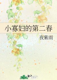 小寡妇的第二春