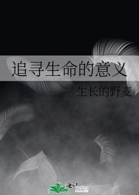 《追寻生命的意义》