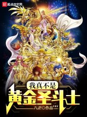 《(圣斗士同人)我真不是黄金圣斗士》