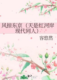 《风掠东京(天是红河岸现代同人)》