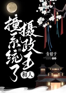 《摄政王和人撞系统了》